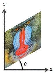 LinearAlgebra Transformation Matrix 1.jpg