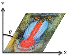 LinearAlgebra Transformation Matrix 2.jpg