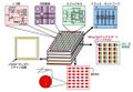 2020年11月13日 (金) 05:18時点における版のサムネイル